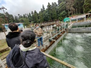 Drainage and sewerage system of Mirik Lake 1